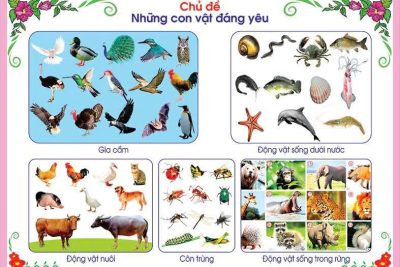 CHỦ ĐỀ: NHỮNG CON VẬT ĐÁNG YÊU KHỐI 24-36 THÁNG TUỔI
